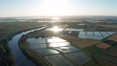 Reisfeld-Frankreich-Camargue-Sonnenspiegelung-Im-überfluteten-Reisfeld-Luftaufnahme